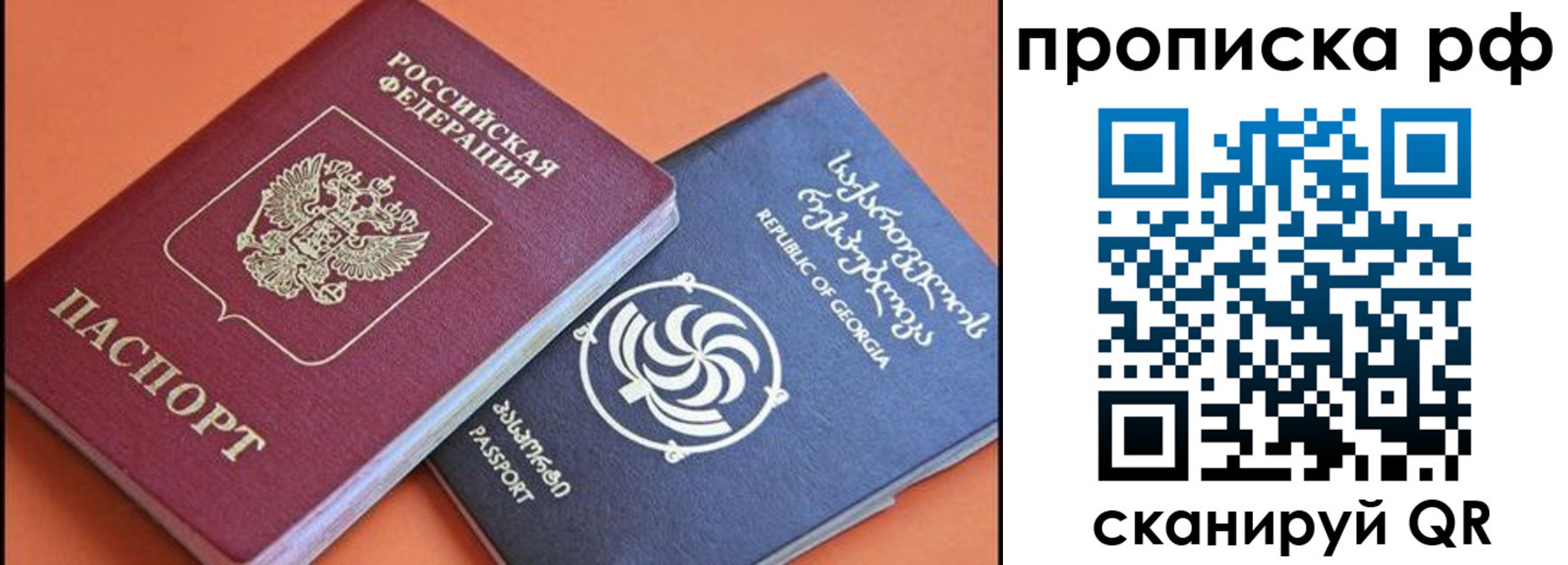 прописка поиск в Светлом